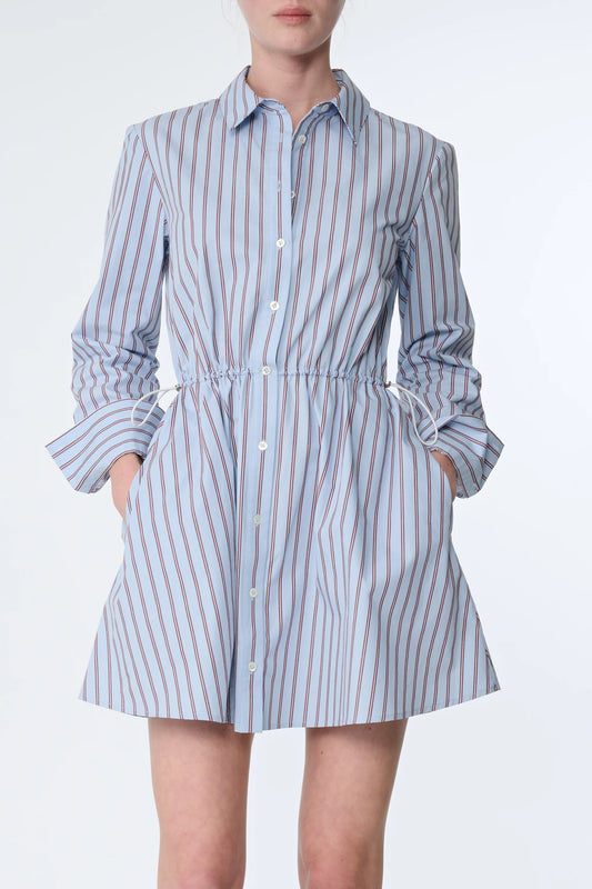 Kirby LS Mini Shirt Dress